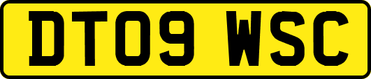 DT09WSC