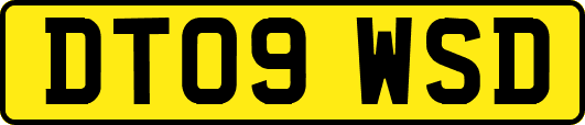 DT09WSD
