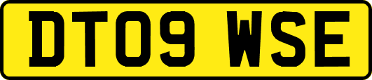 DT09WSE