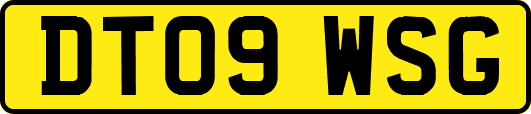 DT09WSG