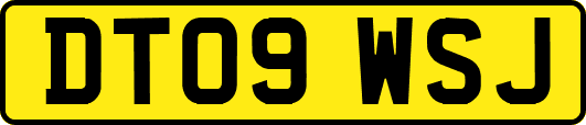 DT09WSJ