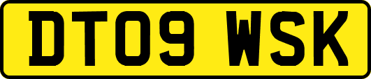 DT09WSK