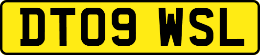 DT09WSL