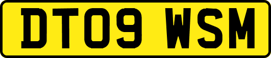 DT09WSM