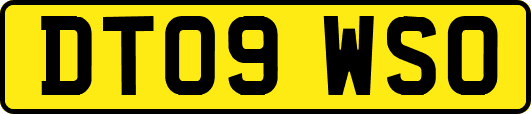 DT09WSO