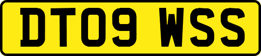 DT09WSS