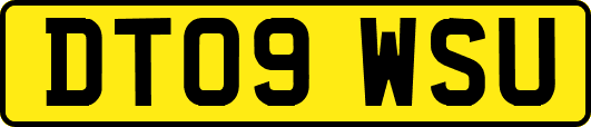 DT09WSU