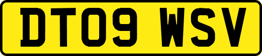 DT09WSV