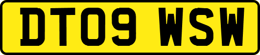 DT09WSW