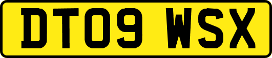 DT09WSX
