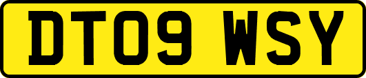 DT09WSY