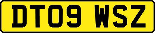 DT09WSZ