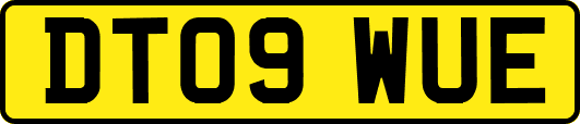 DT09WUE