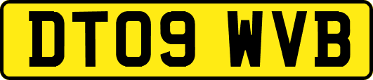 DT09WVB