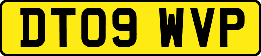 DT09WVP