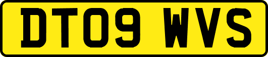 DT09WVS