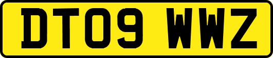 DT09WWZ