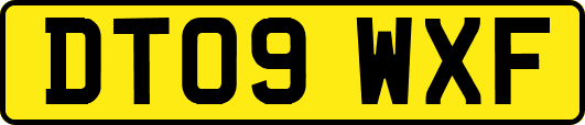DT09WXF