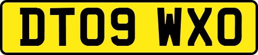 DT09WXO