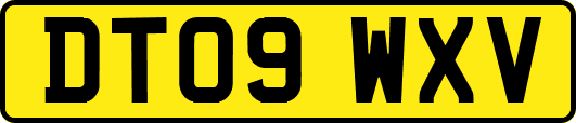 DT09WXV