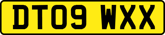 DT09WXX