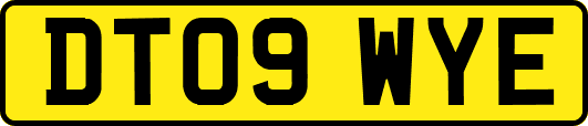 DT09WYE