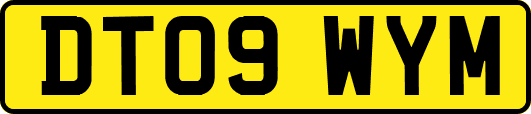DT09WYM