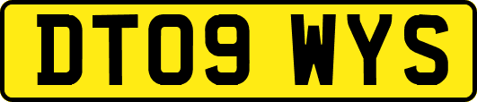 DT09WYS