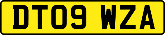 DT09WZA