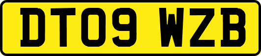 DT09WZB
