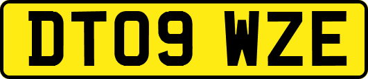 DT09WZE
