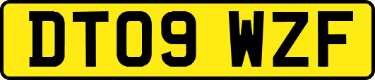 DT09WZF