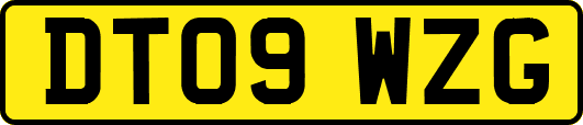 DT09WZG