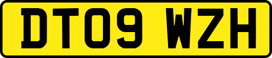 DT09WZH