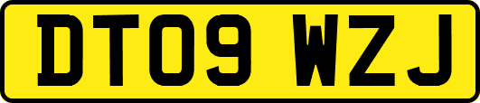 DT09WZJ