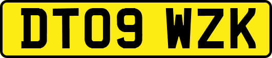 DT09WZK