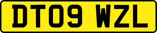 DT09WZL