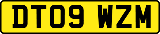 DT09WZM