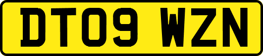 DT09WZN