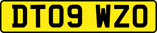 DT09WZO