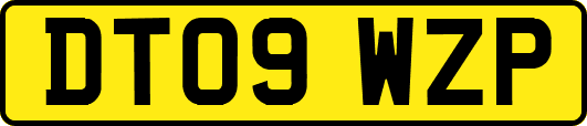 DT09WZP