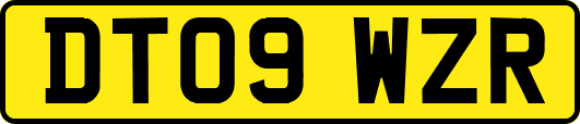DT09WZR