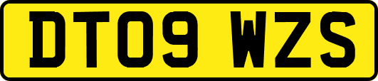 DT09WZS