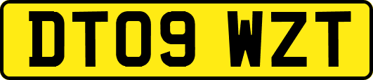 DT09WZT