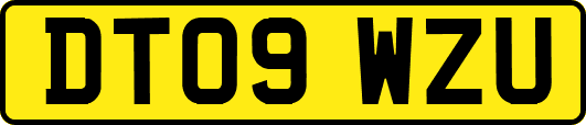 DT09WZU