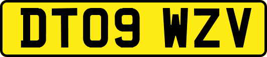 DT09WZV
