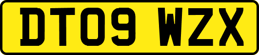 DT09WZX
