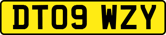 DT09WZY