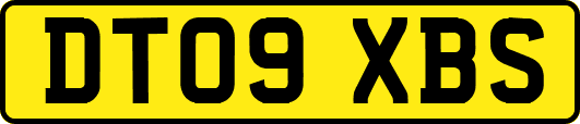 DT09XBS