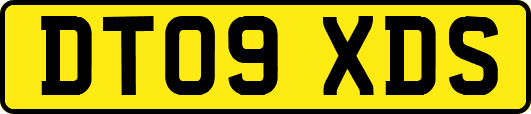 DT09XDS